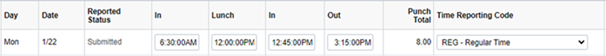 Screenshot image of a Punch Timesheet showing one day of time entered for In, Lunch, In again and Out for the day. Punch total 8 hours and Time Reporting Code of Regular time.