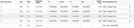 Screenshot of a Punch Time Sheet with Regular hours submitted and one annual leave day requested and approved. 